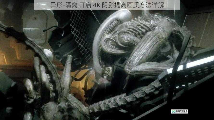 异形-隔离 开启 4K 阴影提高画质方法详解