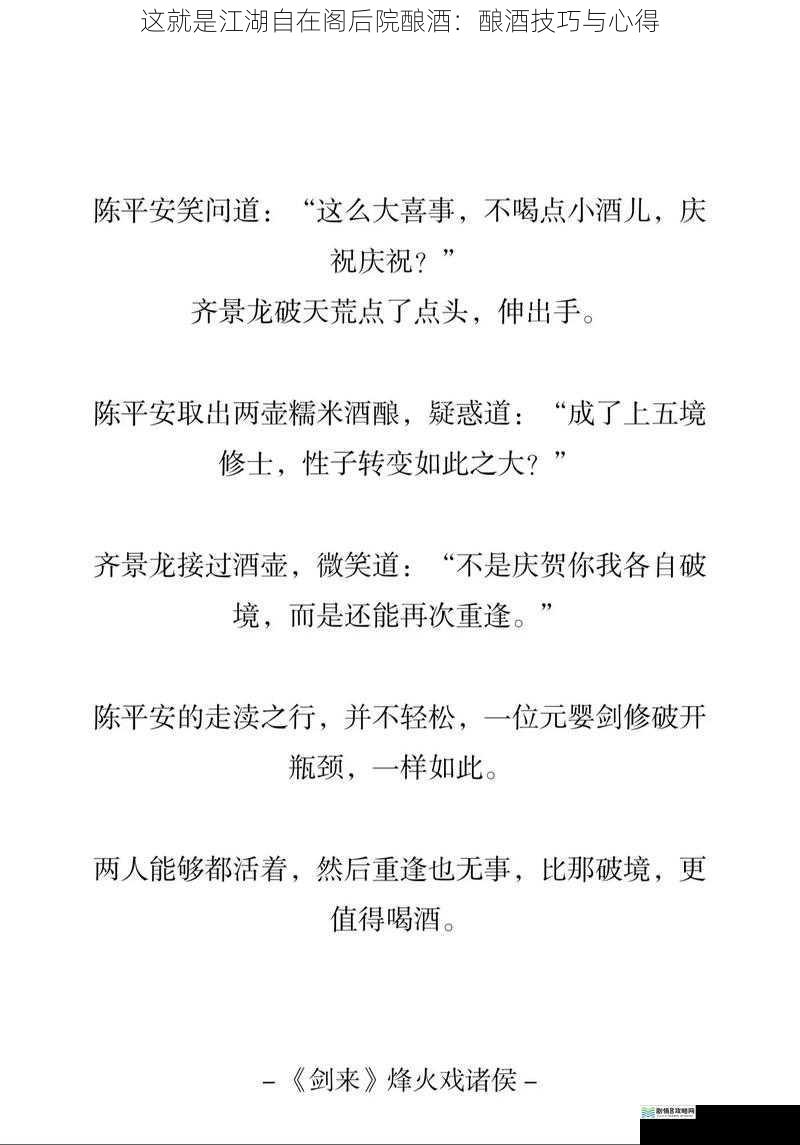 这就是江湖自在阁后院酿酒:酿酒技巧与心得