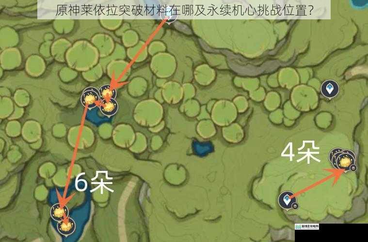 原神莱依拉突破材料在哪及永续机心挑战位置?