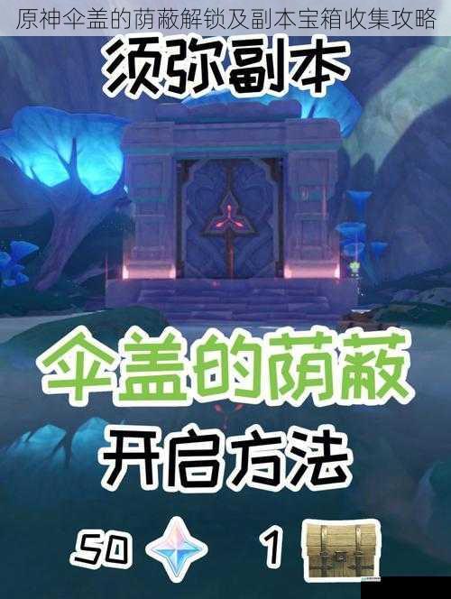 原神伞盖的荫蔽解锁及副本宝箱收集攻略