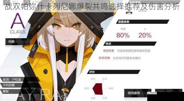 战双帕弥什卡列尼娜爆裂共鸣选择推荐及伤害分析