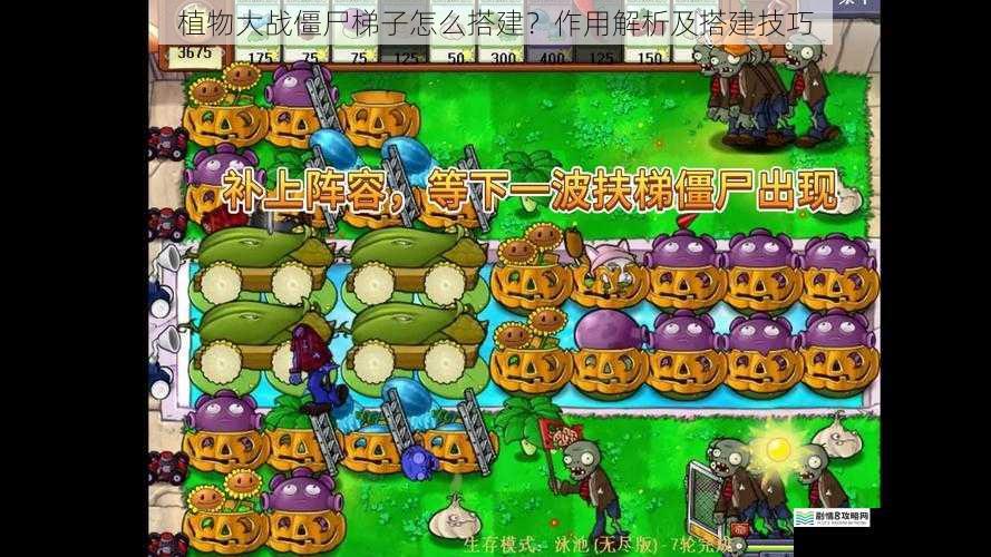 植物大战僵尸梯子怎么搭建?作用解析及搭建技巧