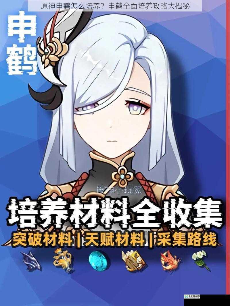 原神申鹤怎么培养?申鹤全面培养攻略大揭秘