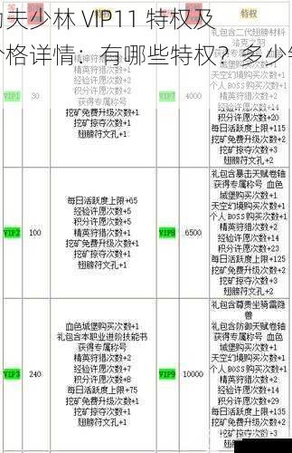 功夫少林 VIP11 特权及价格详情:有哪些特权?多少钱?