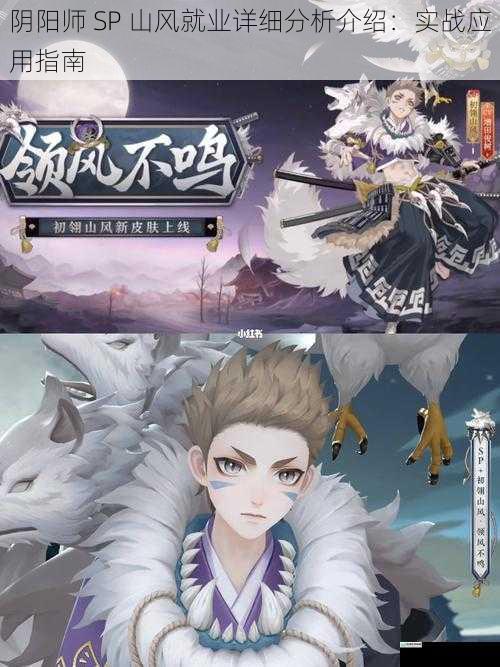 阴阳师 SP 山风就业详细分析介绍:实战应用指南