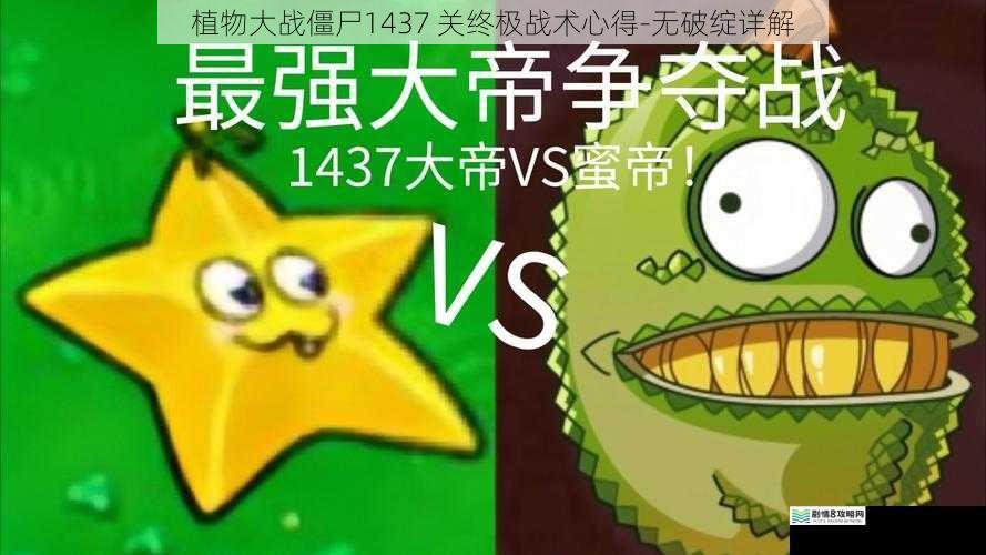 植物大战僵尸1437 关终极战术心得-无破绽详解