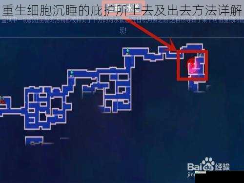 重生细胞沉睡的庇护所上去及出去方法详解