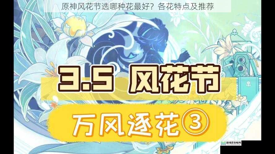 原神风花节选哪种花最好?各花特点及推荐