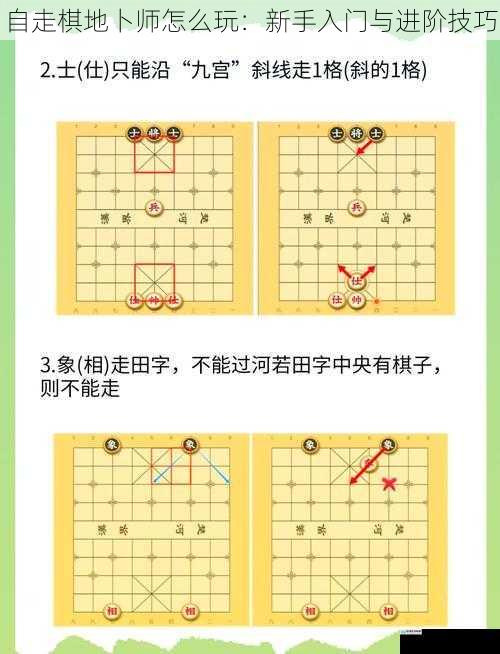自走棋地卜师怎么玩:新手入门与进阶技巧