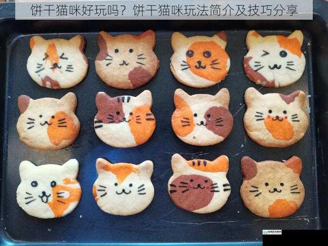 饼干猫咪好玩吗?饼干猫咪玩法简介及技巧分享
