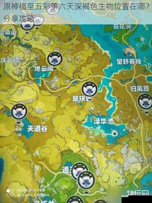 原神福至五彩第六天深褐色生物位置在哪?分享攻略