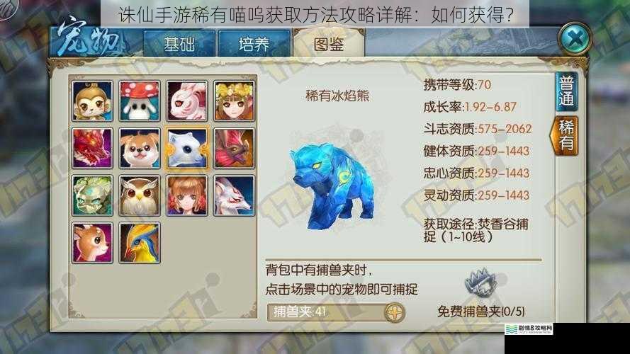 诛仙手游稀有喵呜获取方法攻略详解:如何获得?
