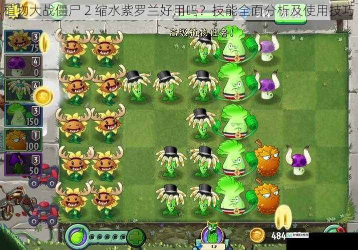 植物大战僵尸 2 缩水紫罗兰好用吗?技能全面分析及使用技巧