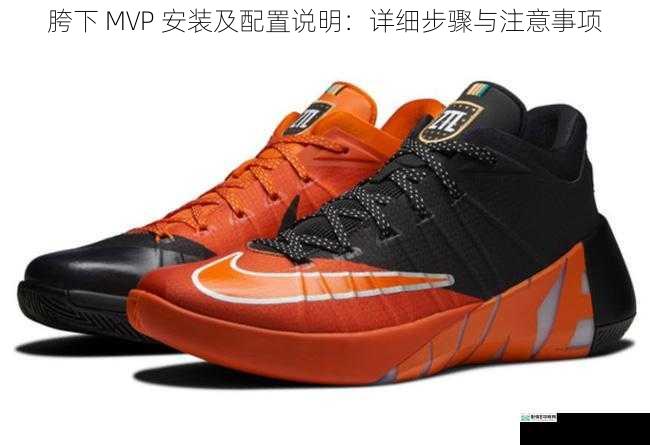 胯下 MVP 安装及配置说明:详细步骤与注意事项
