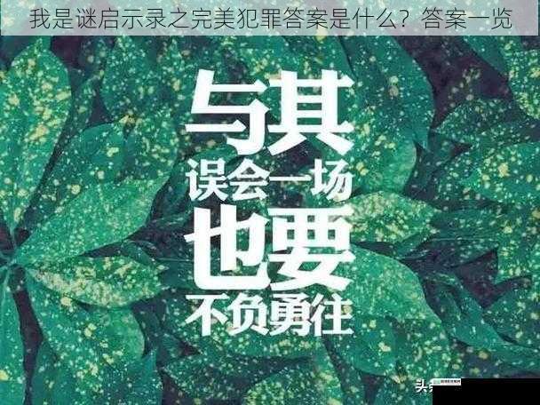 我是谜启示录之完美犯罪答案是什么?答案一览