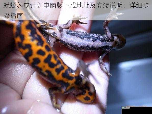 蝾螈养成计划电脑版下载地址及安装说明:详细步骤指南