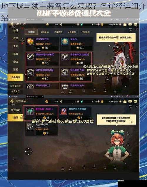 地下城与领主装备怎么获取?各途径详细介绍