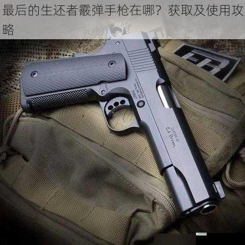 最后的生还者霰弹手枪在哪?获取及使用攻略
