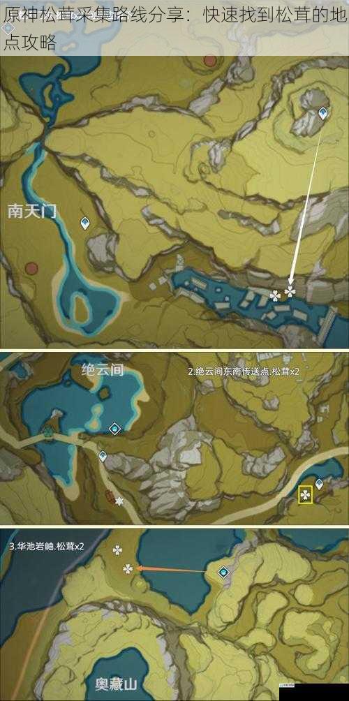 原神松茸采集路线分享:快速找到松茸的地点攻略