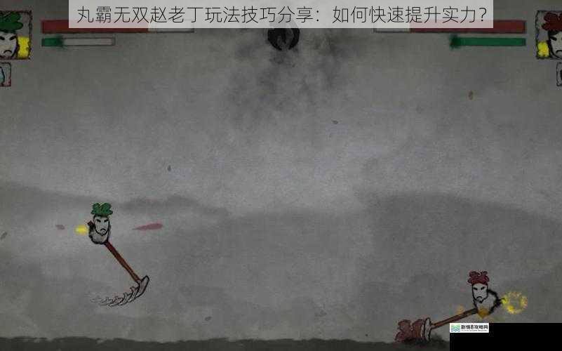 丸霸无双赵老丁玩法技巧分享:如何快速提升实力?