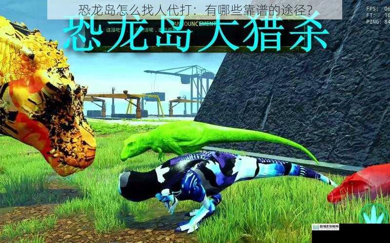 恐龙岛怎么找人代打:有哪些靠谱的途径?