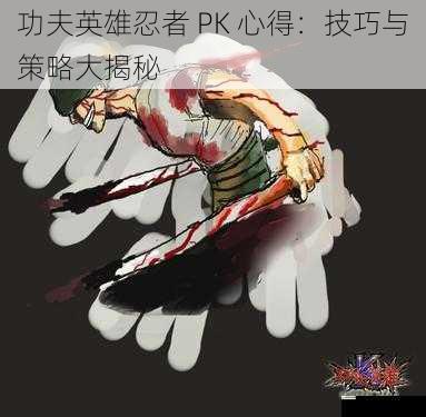 功夫英雄忍者 PK 心得:技巧与策略大揭秘