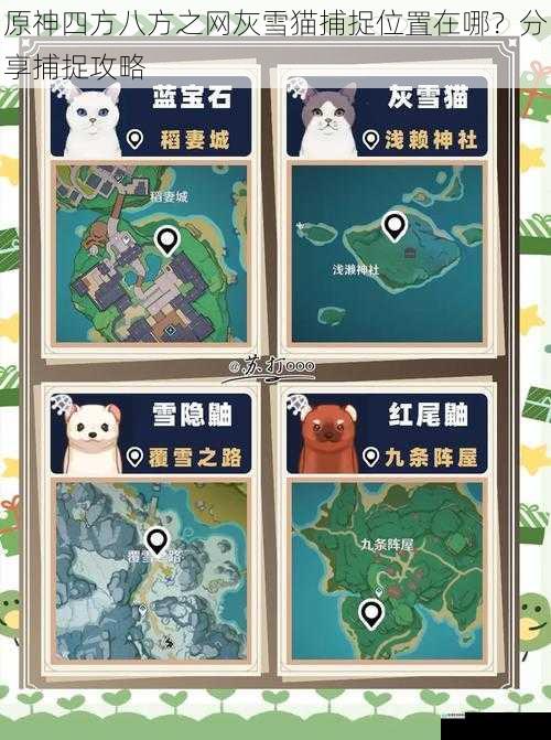 原神四方八方之网灰雪猫捕捉位置在哪?分享捕捉攻略