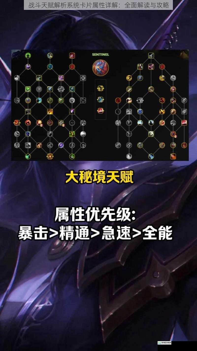 战斗天赋解析系统卡片属性详解:全面解读与攻略