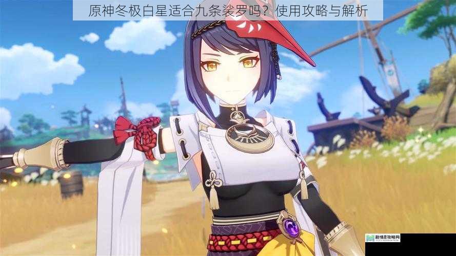 原神冬极白星适合九条裟罗吗?使用攻略与解析