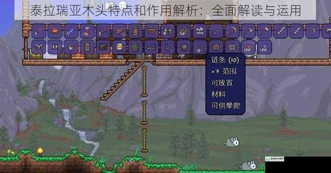 泰拉瑞亚木头特点和作用解析:全面解读与运用