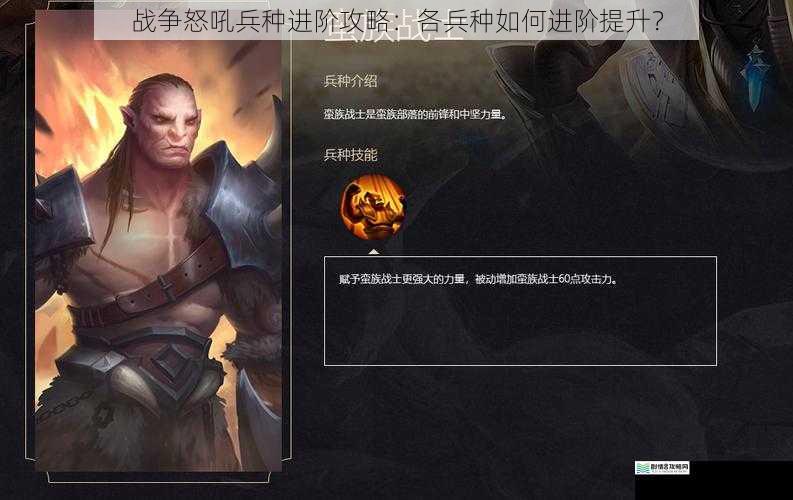 战争怒吼兵种进阶攻略:各兵种如何进阶提升?