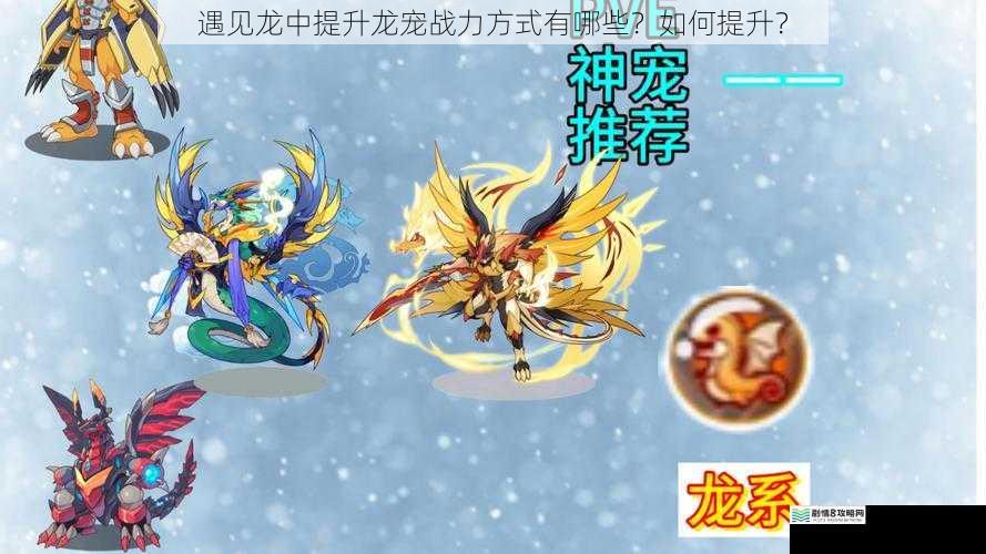 遇见龙中提升龙宠战力方式有哪些?如何提升?