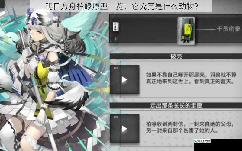明日方舟柏喙原型一览:它究竟是什么动物?