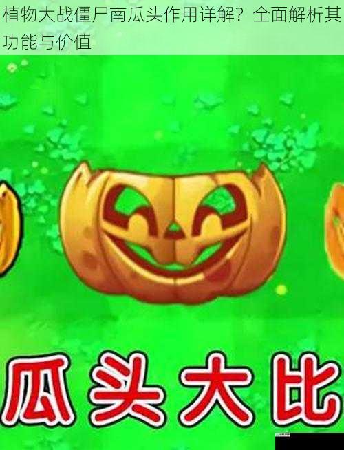 植物大战僵尸南瓜头作用详解?全面解析其功能与价值