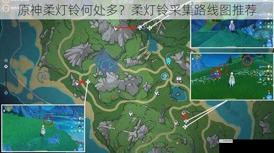 原神柔灯铃何处多?柔灯铃采集路线图推荐