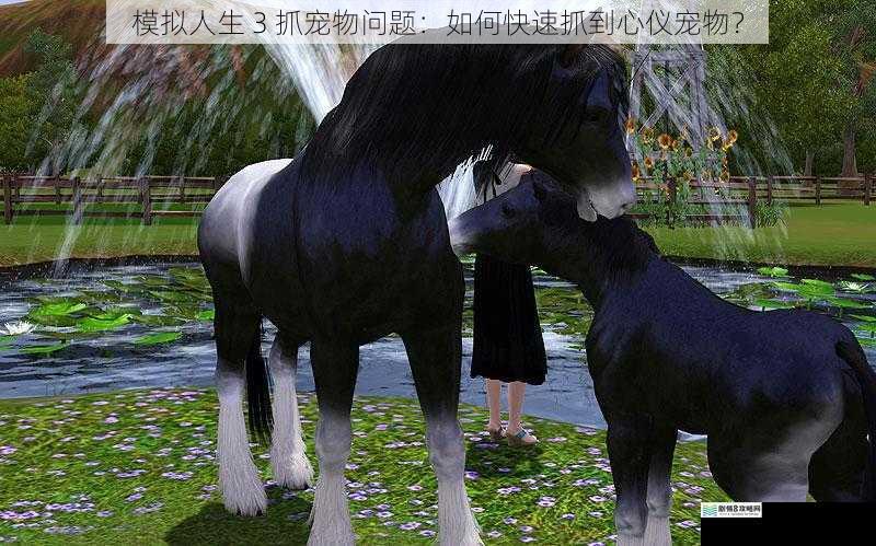 模拟人生 3 抓宠物问题:如何快速抓到心仪宠物?
