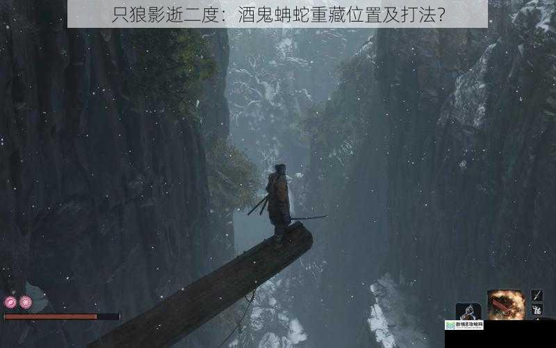 只狼影逝二度:酒鬼蚺蛇重藏位置及打法?
