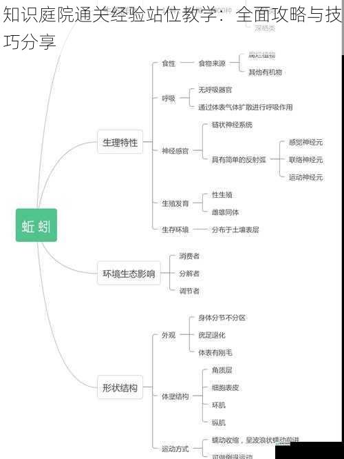 知识庭院通关经验站位教学:全面攻略与技巧分享
