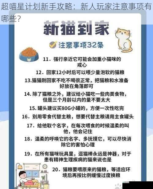 超喵星计划新手攻略:新人玩家注意事项有哪些?