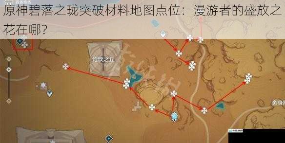 原神碧落之珑突破材料地图点位:漫游者的盛放之花在哪?