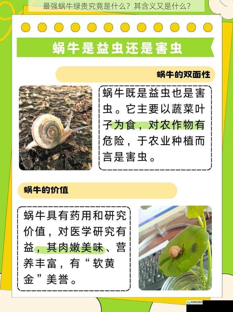 最强蜗牛绿贵究竟是什么?其含义又是什么?