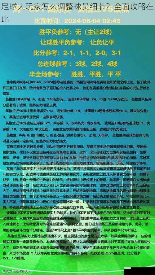足球大玩家怎么调整球员细节?全面攻略在此
