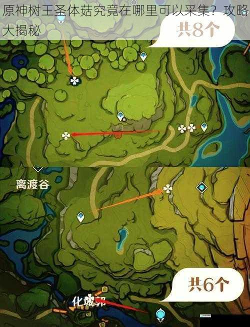 原神树王圣体菇究竟在哪里可以采集?攻略大揭秘