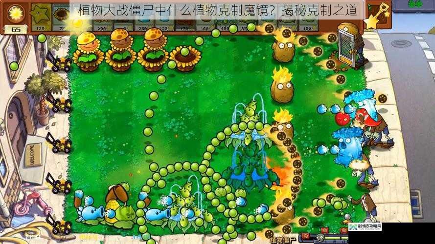 植物大战僵尸中什么植物克制魔镜?揭秘克制之道