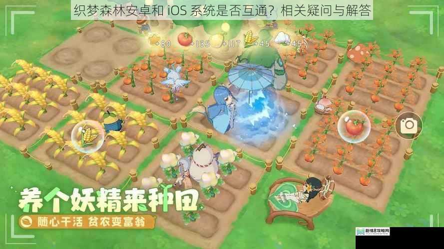 织梦森林安卓和 iOS 系统是否互通?相关疑问与解答
