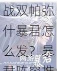 战双帕弥什暴君怎么发?暴君阵容推荐及打法详解