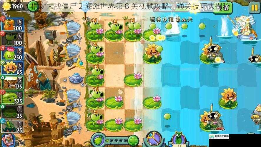 植物大战僵尸 2 海滩世界第 8 关视频攻略:通关技巧大揭秘