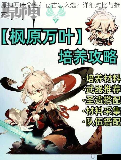 原神万叶命座和苍古怎么选?详细对比与推荐