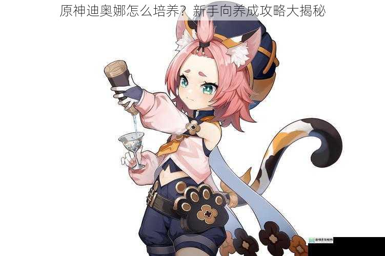 原神迪奥娜怎么培养?新手向养成攻略大揭秘