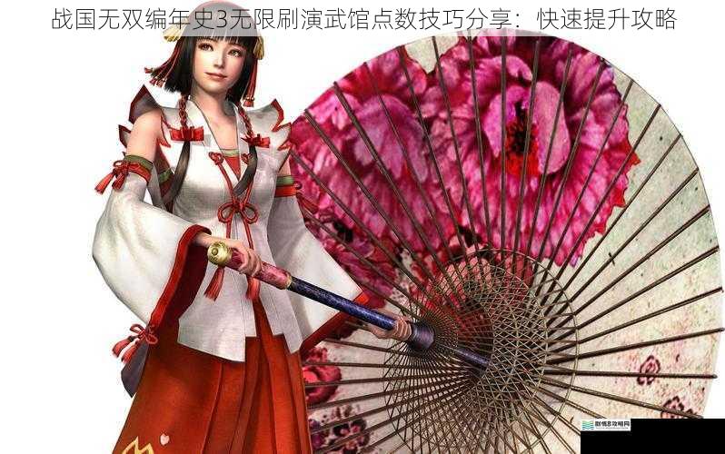 战国无双编年史3无限刷演武馆点数技巧分享:快速提升攻略